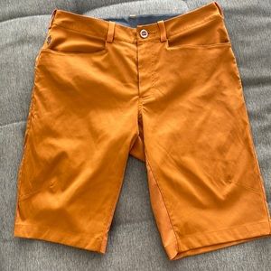 The North Face shorts size 30 rust colored